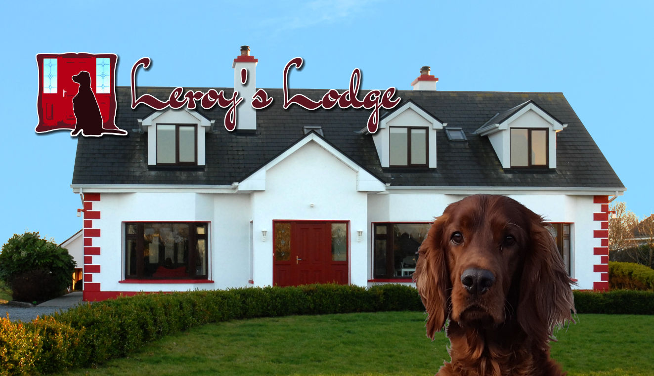 Leroy's Lodge FamilyRun Bed & Breakfast